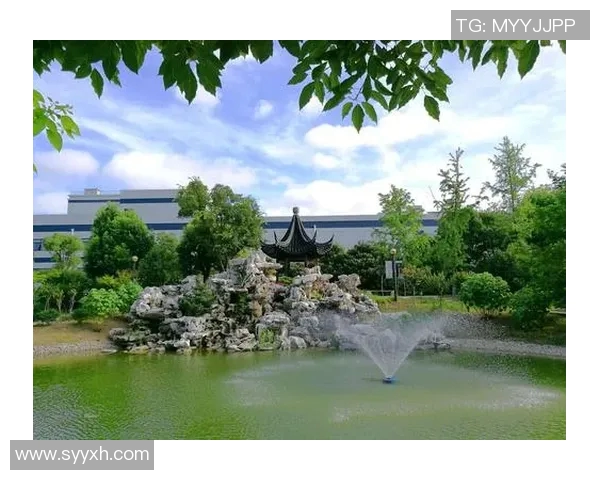 南京排球队的辉煌之路：从默默无闻到大师赛的荣耀时刻