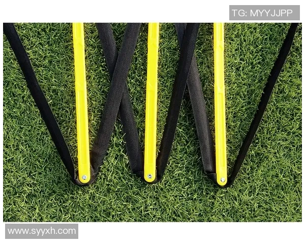 提升足球技能的必备工具足球热身绳梯的训练效果与使用技巧解析